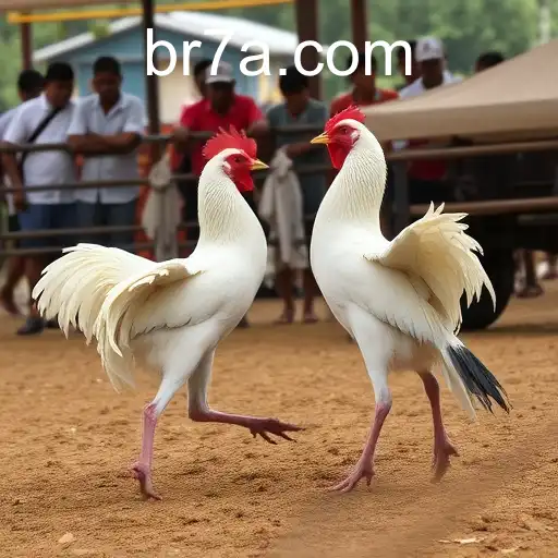 Jogos de sabong